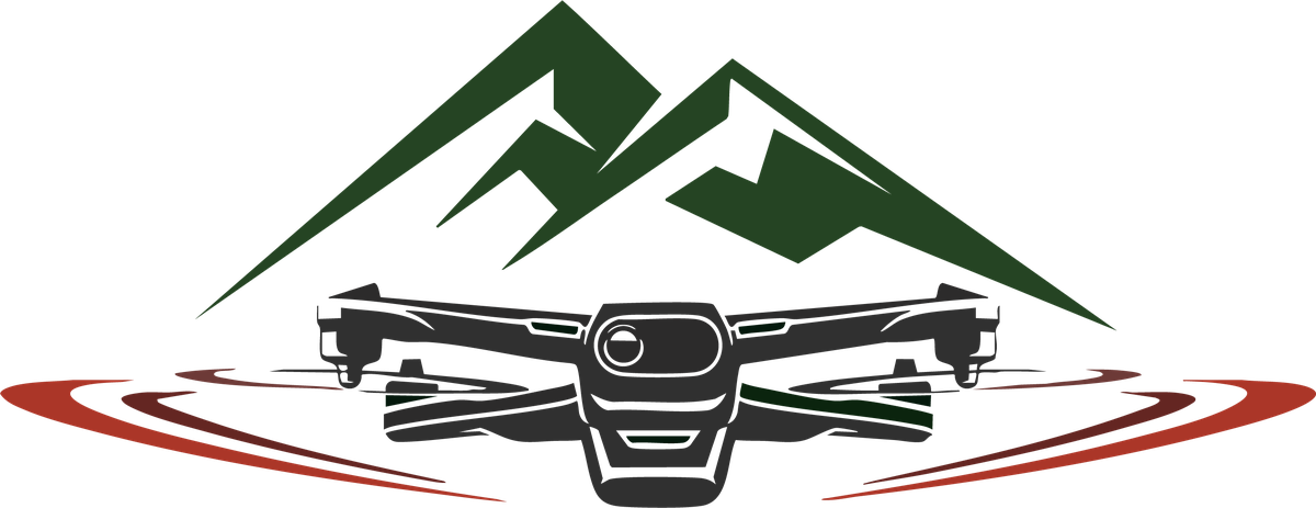 Drone Scout Cloud
